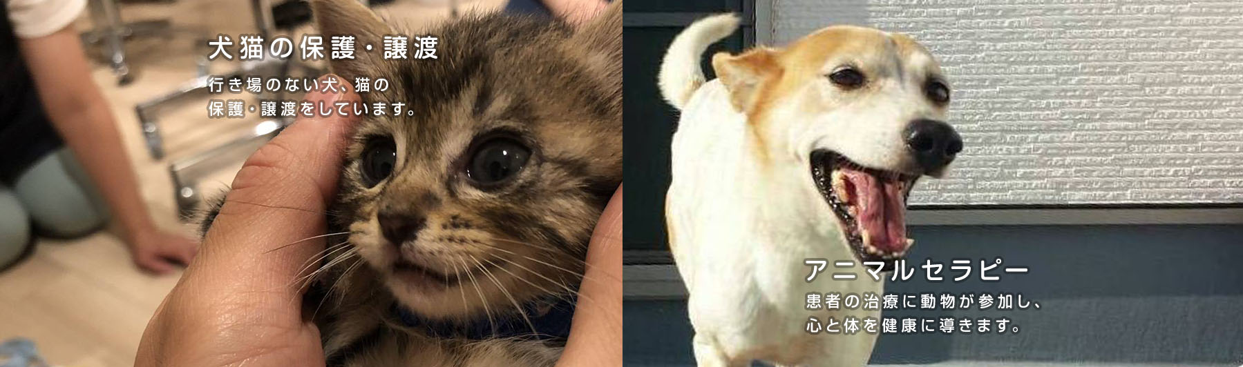 未来へつなげる命の重み。